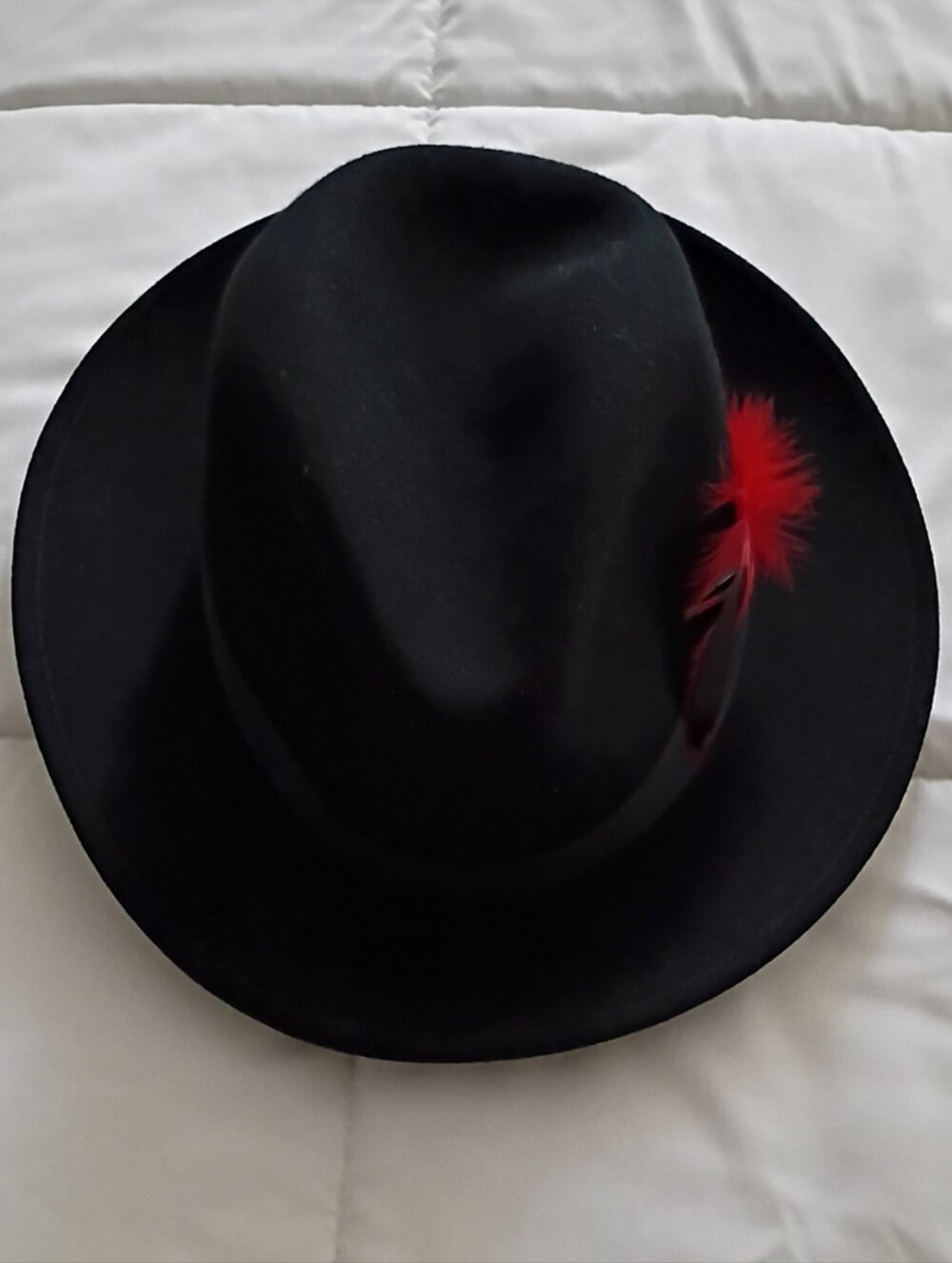 Black Fedora Hat with Red Feather Accent -NEW YORK HAT CO.